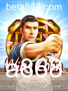 Descubra o Fascinante Mundo de WingChun